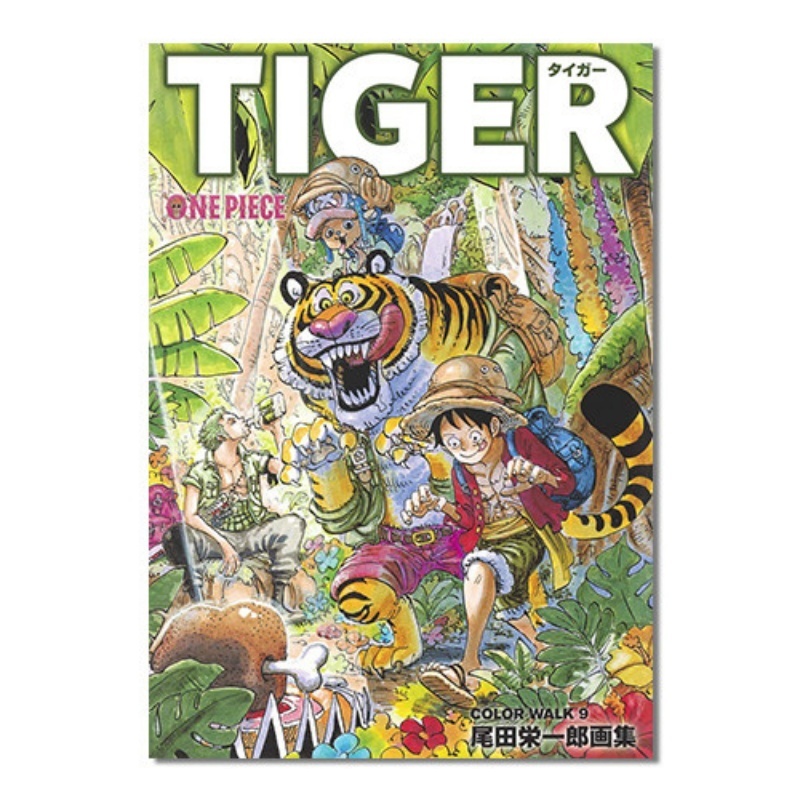 Stationery Books - Livre d'illustrations One Piece Color Walk