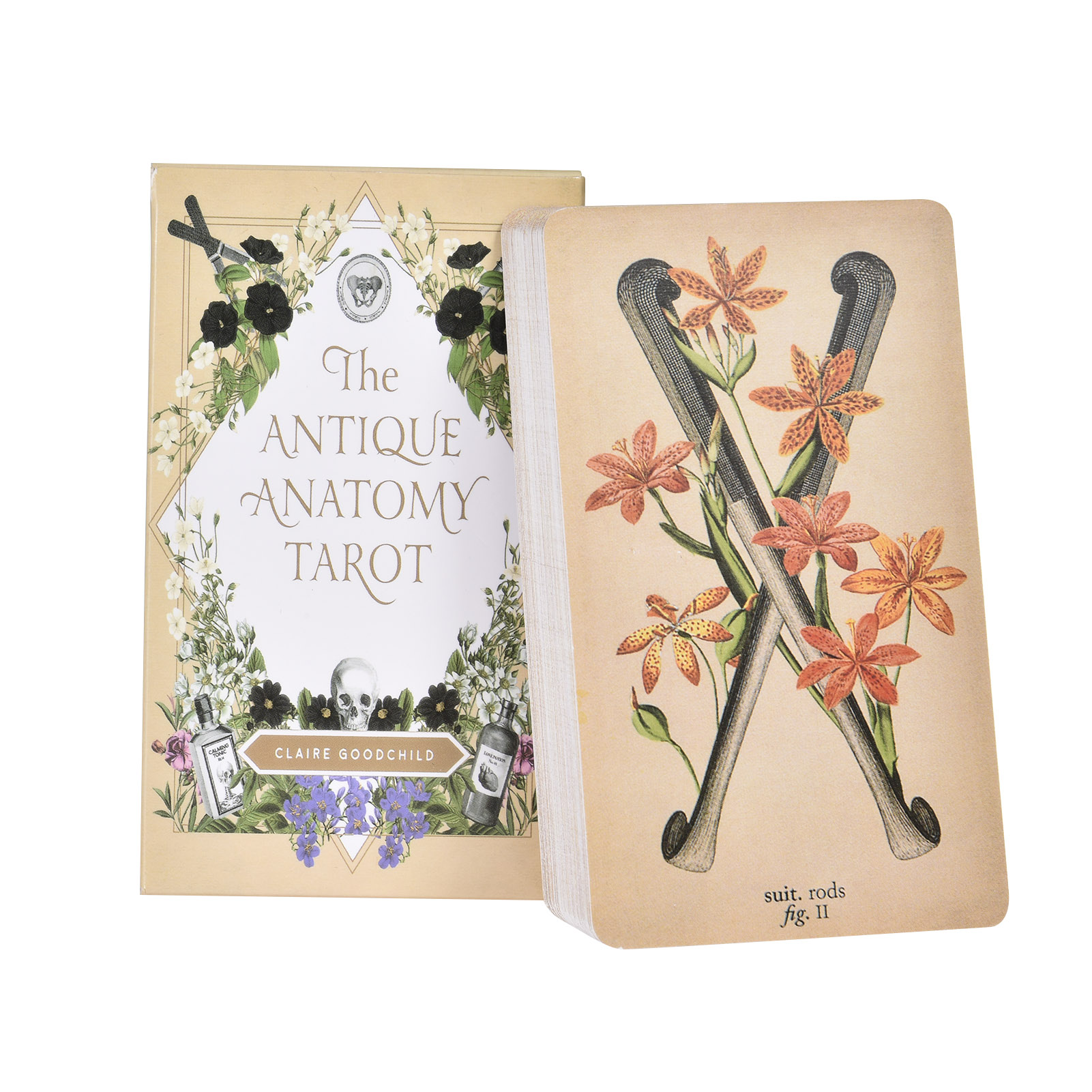 Tarot Deck With Guidebook - Les Cartes de Tarot « Anatomy