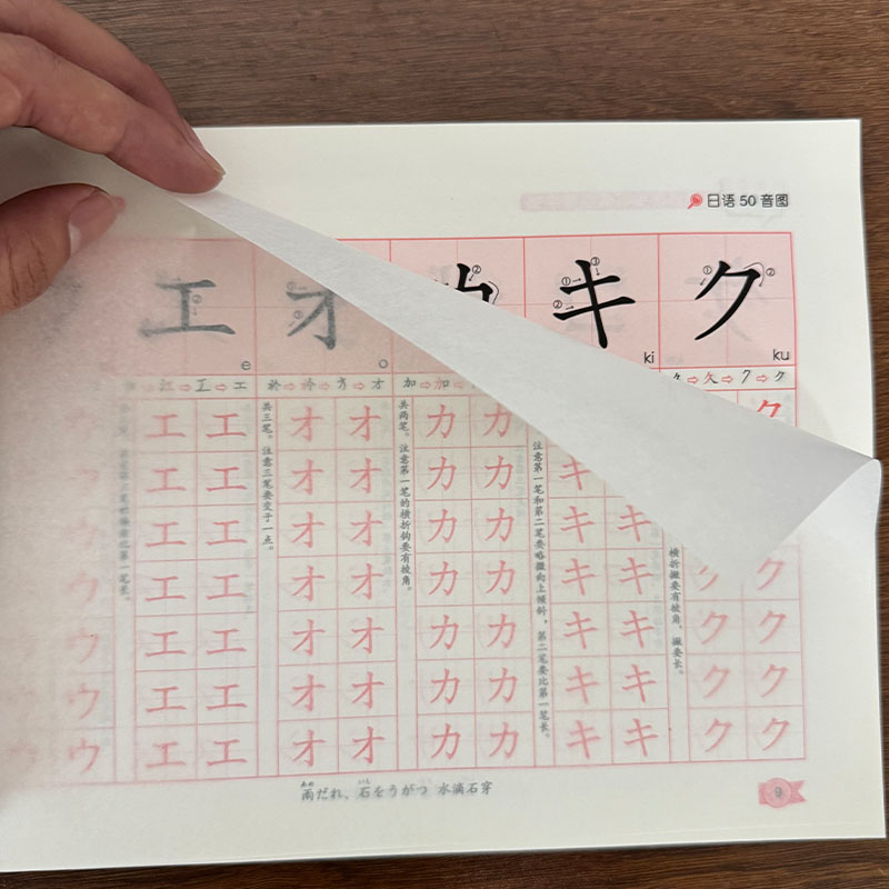 Chinese Calligraphy Practice Book - Cahier d'écriture japonaise Hiragana Katakana pour