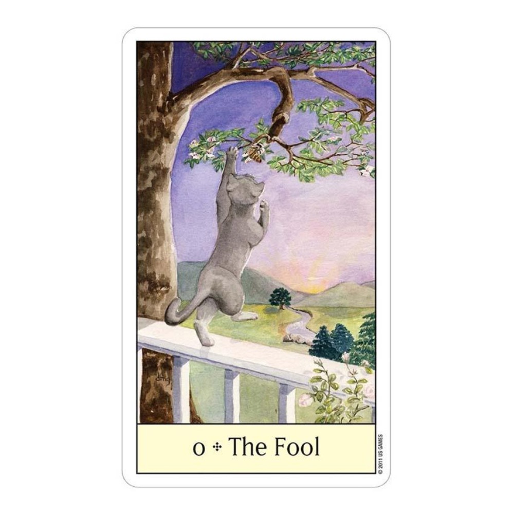 Jeux de cartes Tarot œil de ch - Tarot Deck With Guidebook avis et prix
