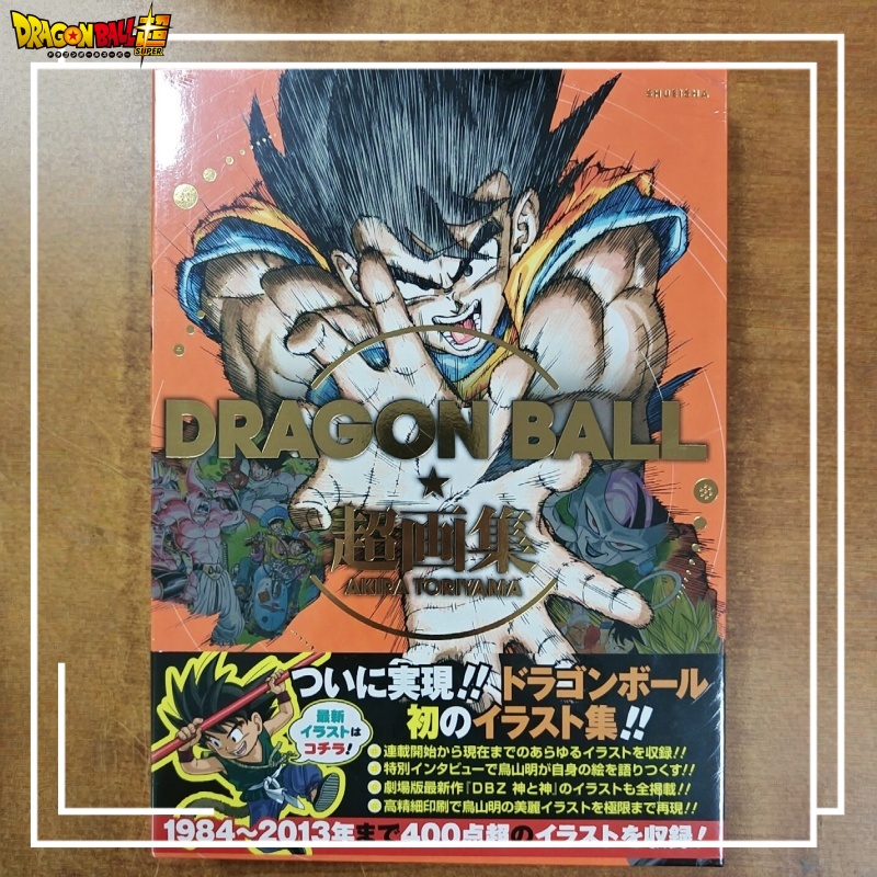 En stock, livre d'art Dragon B - Stationery Books avis et prix