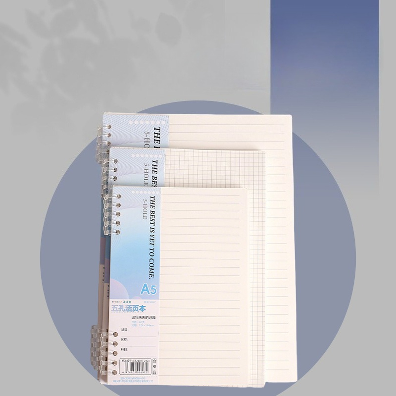 Recharges pour cahier à feuill - A5 Spiral Dotted Grid Notebook avis et prix