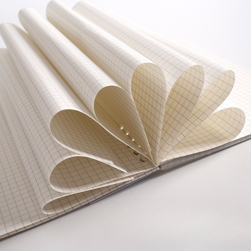 Recharges pour cahier à feuill - A5 Spiral Dotted Grid Notebook avis et prix